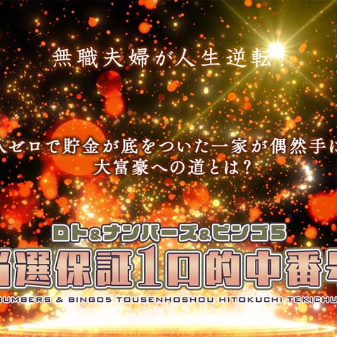 ビンゴ5予想ソフト『高額当選ピンポイントナビゲーター』