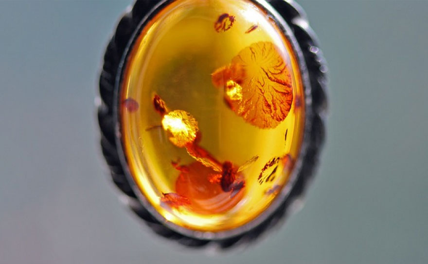 アンバー（琥珀）