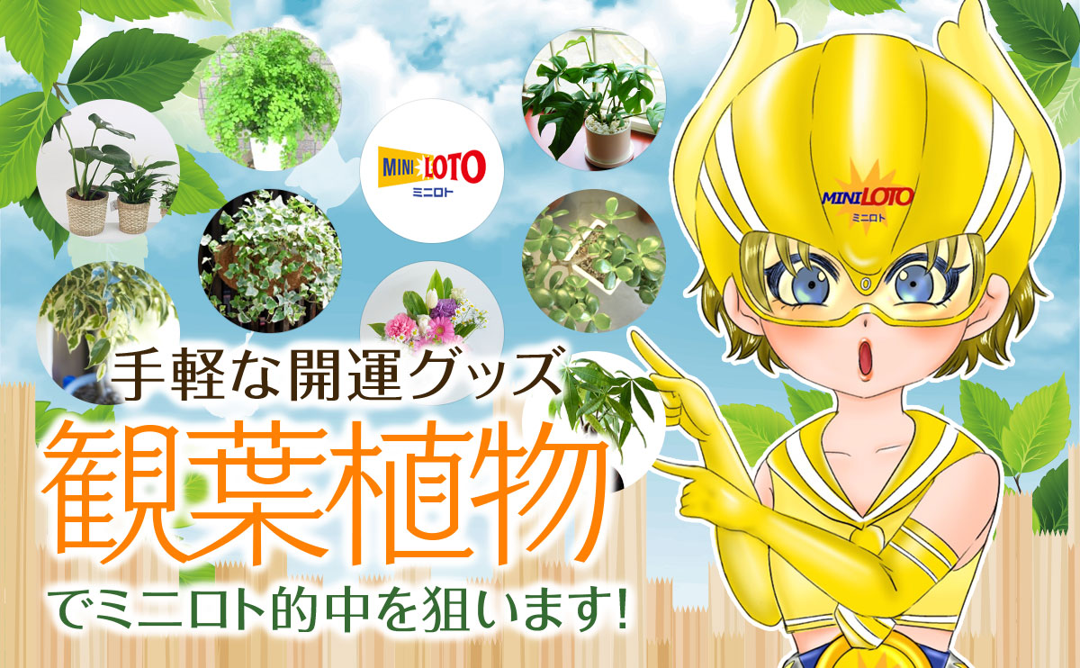 手軽な開運グッズ「観葉植物」でミニロト的中を狙います!