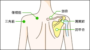 数字予想力を上げる運動